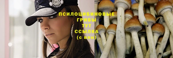 мяу мяу кристалл Каменка