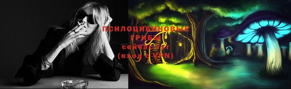 спайс Карпинск