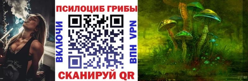Купить закладки  Острогожск  Псилоцибиновые грибы Psilocybe 